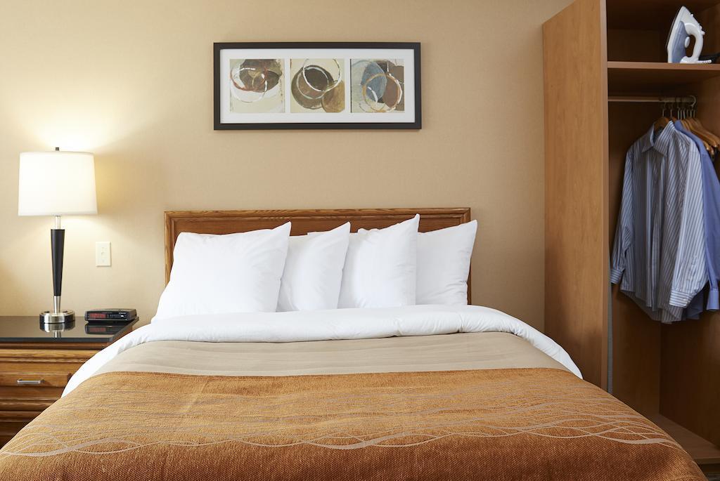 Comfort Inn Edmundston Eksteriør bilde